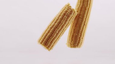 Two pieces of corn collide in the middle on a white reflective surface and isolated white background. Vegetarian food. studio shooting. Fresh corn.