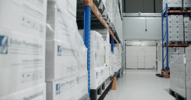 Industrieller Lagerraum Inneren Der Innenraum Des Logistikzentrums Ist Voller Regale — Stockvideo