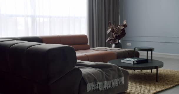 Moderno Salón Minimalista Contemporáneo Con Muebles Grises Marrones Lujosa Casa — Vídeo de stock