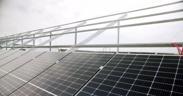 지판의 현대의 광전지 패널은 태양의 농장에서 햇빛으로 조명되었다 새로운 에너지 — 비디오
