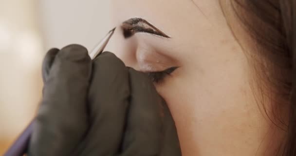 Cosmetologista Profissional Faz Maquiagem Cara Uma Menina Close Sobrancelhas Tingimento — Vídeo de Stock