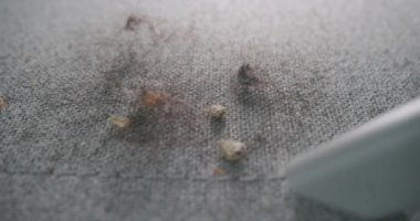 Bilinmeyen bir adam oturma odasında elektrikli süpürgeyle kumaş kanepeyi temizliyor. İşçi, elektrikli süpürge kullanır. Tekstil kanepesinde beyaz elektrikli süpürge. Daire ve ofis temizliği kavramı