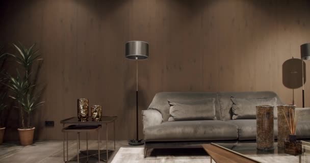 Moderní Moderní Minimalistický Obývací Pokoj Šedým Nábytkem Dřevěnou Zdí Módní — Stock video