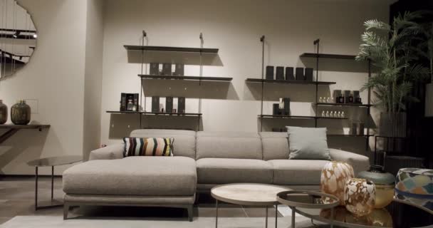 Moderní Moderní Minimalistický Obývací Pokoj Béžovým Nábytkem Luxusní Moderní Dům — Stock video