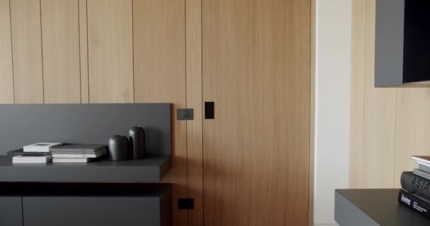 Moderní Moderní Dřevěnou Stěnou Šedým Nábytkem Luxusní Moderní Dům Interiér — Stock video