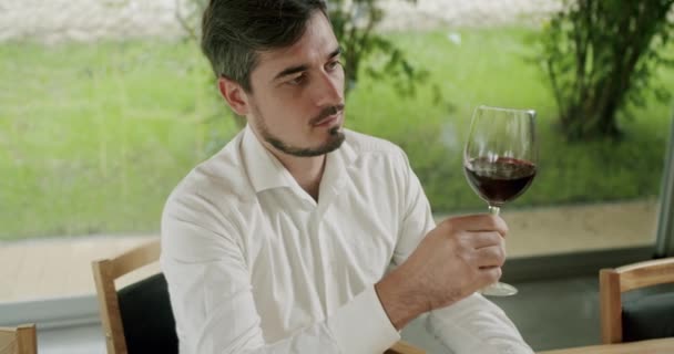 Rotatie Van Het Glas Kabbelt Het Oppervlak Van Wijn Strekt — Stockvideo