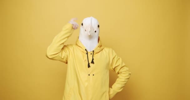 鳩のマスクをした男は面白いジェスチャーを作る 黄色の面白い男は ピジョンマスクとダンスに適しています 男は孤立した黄色の背景で楽しんでいます 楽しいパーティーだハロウィーン スローモーション 仮面舞踏会のアイデア — ストック動画