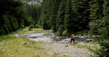 Yabanda yürüyüş yapan ya da kamp yapan bir adam yolda ya da patikada yürür. Açık hava yaşam tarzı. Sırt çantalı, çam ağacında yürüyen sağlıklı bir erkek. Ormanda yürüyen bir adam.