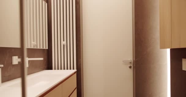 샤워기 디자인 스러운 아파트 디자인의 현대식 화장실 갈색으로 액세서리가 미나미 — 비디오