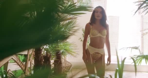 Sexig Kvinna Eleganta Gula Underkläder Sexig Tjej Sexig Ung Kvinna — Stockvideo