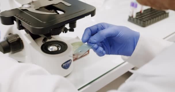 研究室で顕微鏡を用いた男性医師ハイテク顕微鏡装置の下で血液を調べる研究室のコートとラテックス手袋の男性は 昼間のクリニックでの作業中にサンプルを調べるために顕微鏡を使用して — ストック動画