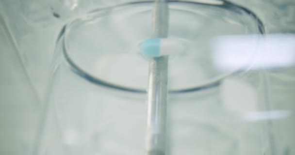 Medical Research Laboratory Scientist Works Pipette Test Tube Microbiology Laboratory — Stock Video
