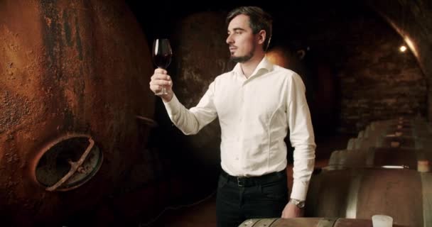Gelukkig Succesvolle Mannelijke Wijnmaker Het Proeven Van Een Smaak Het — Stockvideo