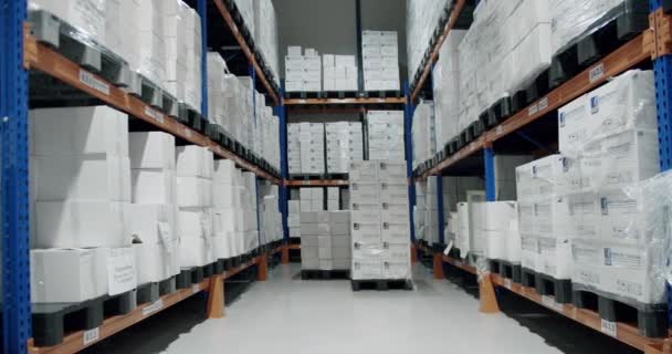 Endüstri Depolama Odası Depodaki Ürünler Karton Kutuların Içinde Raflarla Dolu — Stok video