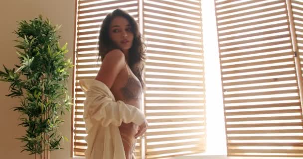 Zarif Çamaşırlı Güzel Seksi Bayan Seksi Kız Kahverengi Çamaşırlı Seksi — Stok video