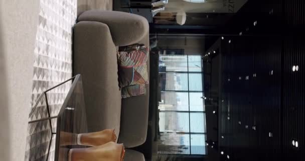 现代简约的客厅 灰色家具 奢华的现代住宅与角落索法 椅子和书架 奢华雅致的房间 房地产私人住宅 垂直录像 — 图库视频影像