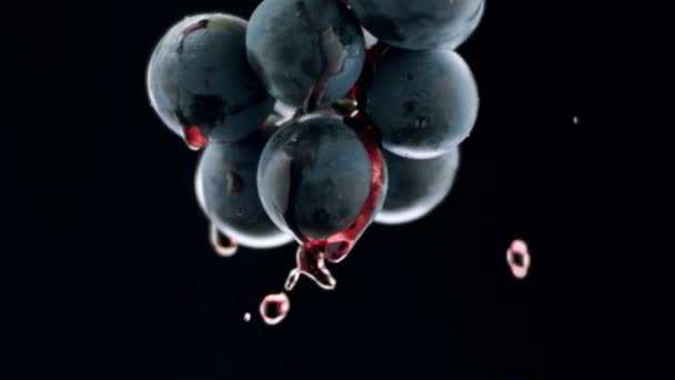 Fresh Black Grapes Rotation Isolated Black Background Super Slow Motion — Stock Video