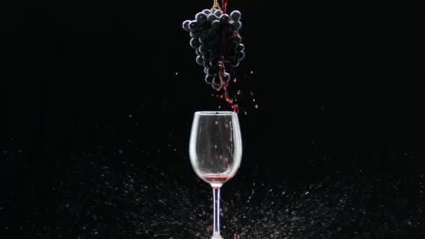 一束葡萄挂在玻璃杯上 上面挂着红酒 红酒倒入新鲜成熟的葡萄藤中 倒入透明的水晶杯中 置于黑色背景之下 酒水广告用精美的库存镜头 — 图库视频影像