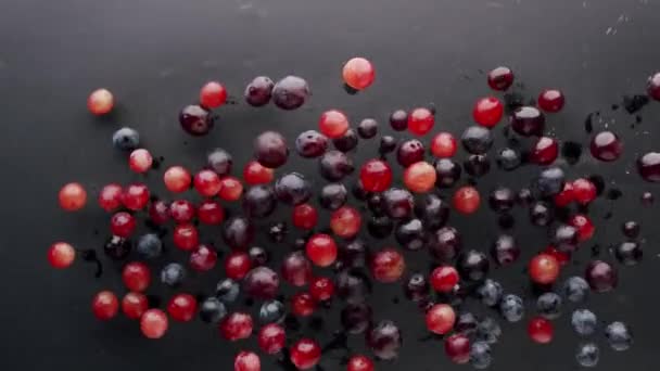 Friske Bær Falder Våd Overflade Mørkt Studie Langsom Bevægelse Fra – Stock-video