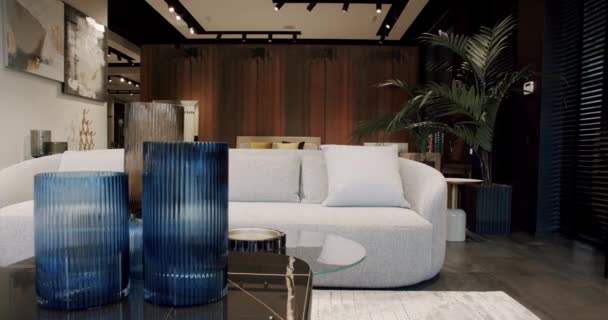 Moderno Salón Minimalista Contemporáneo Con Muebles Beige Blanco Interior Casa — Vídeo de stock