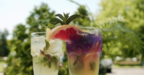 Erfrischende Sommerliche Limonadengetränke Mit Zitrone Zitrusfrüchten Orange Grapefruit Minze Wasser — Stockvideo