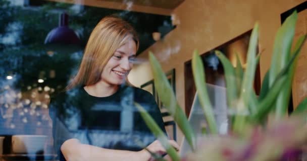 Frau Arbeitet Kaffeehaus Netbook Konzentrierte Junge Freiberuflerin Mit Langen Blonden — Stockvideo