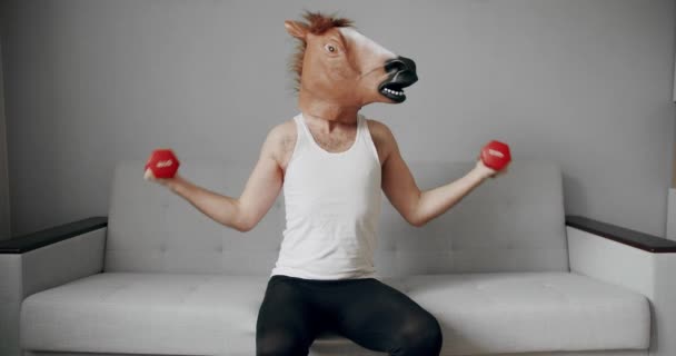 Lustiger Mann Mit Pferdemaske Beim Training Mit Gewichten Für Das — Stockvideo