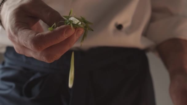 Jonge Chef Kok Restaurant Uniform Werkt Keuken Houdt Groene Uien — Stockvideo