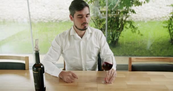 穿着得体的男人正在品尝一种味道 喝着倒在透明玻璃杯里的新鲜红葡萄酒 品酒时 将红酒倒入玻璃杯中 以评价其色泽 男人酿酒师品酒 — 图库视频影像