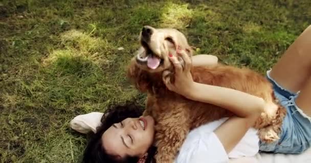 女人和她的狗一起玩拥抱 摆好姿势 快乐的女人拥抱着猎狗 与它玩乐 人类动物的友谊英国猎狗在户外休息 年轻漂亮的动物 — 图库视频影像