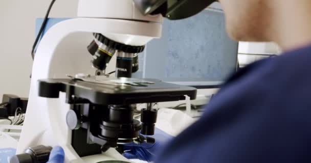 Científico Laboratorio Esperma Trabajador Laboratorio Está Regulando Microscopio Durante Investigación — Vídeo de stock