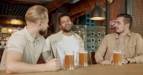 Koledzy Dobrym Nastroju Piją Piwo Relaksują Się Pojęcie Przyjaźni Wypoczynku — Wideo stockowe