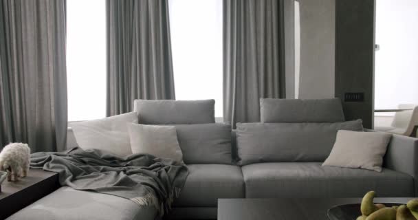 거실의 현대적인 인테리어 디자인에 소파와 아늑한 미니멀리스트 미니멀리스트 인테리어 럭셔리 — 비디오