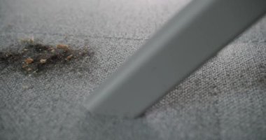 Bilinmeyen bir adam oturma odasında elektrikli süpürgeyle kumaş kanepeyi temizliyor. İşçi, elektrikli süpürge kullanır. Elektrikli süpürge. Ev işi. Daire ve ofis temizliği kavramı