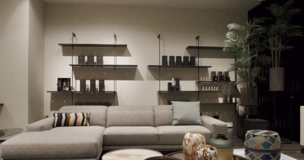 Moderna Sala Estar Minimalista Contemporánea Con Muebles Beige Interior Casa — Vídeo de stock