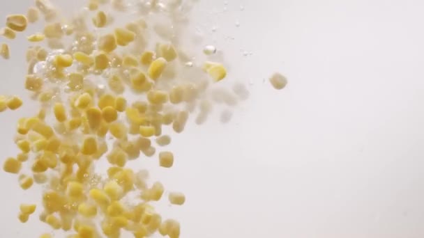 Many Ripe Corn Grains Falling Water Slow Motion Ripe Corn — Stockvideo