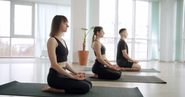 Enjoying Healthy Lifestyle Exercising Fitness Studio Lotus Pose Work Out — Wideo stockowe
