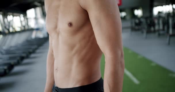 Gehakt Zicht Atletisch Shirtloos Mannelijk Lichaam Met Buikspieren Schuine Plekken — Stockvideo