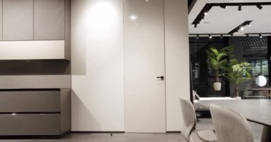 Minimalist beyaz kapı modern bir evde kapandı. Modern apartman, beyaz, modern kapılı ve siyah minimalist saplı. Yaşam tarzı ve şık bir oda. Modern Showroom.