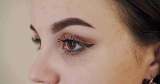 Eyebrow Tinting Procedure Henna Beauty Salon Cosmetology Procedure Beautician Does — стоковое видео