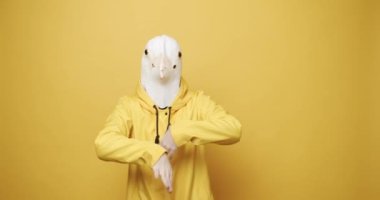 Güvercin Maskeli Adam. Eğlence ve mutluluk kavramı. Sarı Takım Elbiseli Komik Adam Güvercin Maskesiyle Dans Ediyor Sarı Arka plan 'da eğleniyor. Ağır çekim. 1 Nisan, Aptallar Günü. Maskaralık fikri.