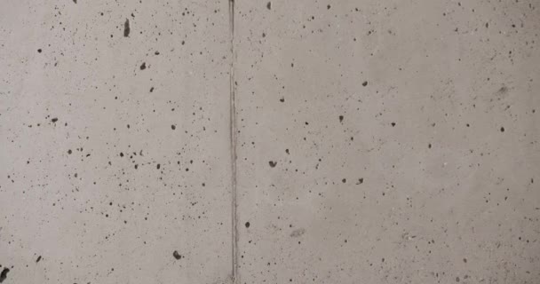 コンクリートのテクスチャは ミニマリストのインテリア グレーのトンの壁で撮影した テクスチャ背景 — ストック動画