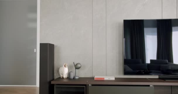 Interior Design Contemporaneo Del Soggiorno Con Cassettiera Moderno Soggiorno Interno — Video Stock