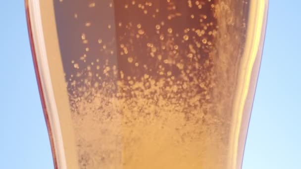 Cerveza Vierte Vaso Limpio Tiro Macro Burbujas Finas Que Elevan — Vídeos de Stock