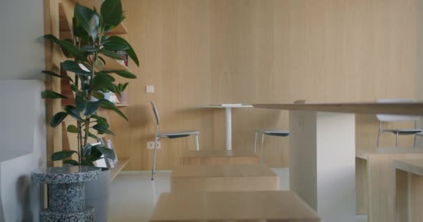 Затишне Кафе Столами Зручні Стільці Зелена Рослина Дерев Яні Полиці — стокове відео