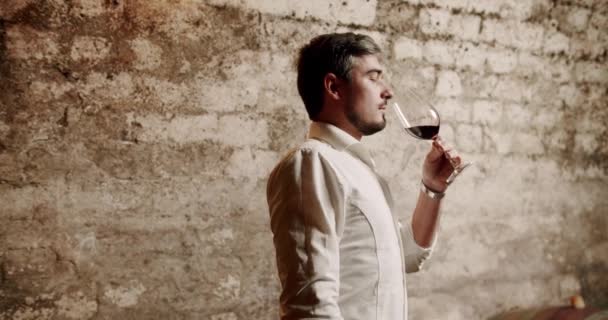 Чоловік Сомельє Дегустує Червоне Вино Винзаводі Дегустація Алкогольних Напоїв Винному — стокове відео
