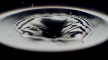 Red grape berry of wine filling into glass. Slow motion from above closeup of delicious red wine pouring into transparent glass and creating bubbles. Taste Luxury Grapes.