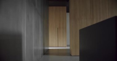 Modern apartmandaki koridor, gardırobu olan ya da ahşap malzemelerden depolama dolabı olan. Evdeki modern mobilyalar. Minimalist iç tasarım