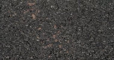 Asfalt döşeme. Yol yapım asfalt kaldırım taşları yeni bir asfalt katmanı oluşturuyor. Yol silindirleri yeni bir yola çıkıyor. Yol tamiri. Ağır makineler. Asfalt Yol Yapımı