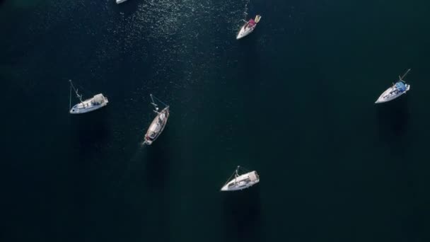 Marine Port Yacht Aerial Top View Boats Yachts Marina Yacht — Vídeo de Stock